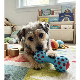 Zolux Zabawka na przysmaki gryzak hantel 13cm