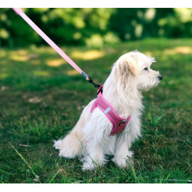 Zolux Szelki oddychające z siatki M granatowe