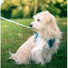 Zolux Szelki oddychające z siatki M granatowe