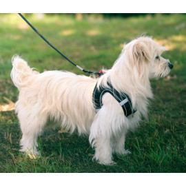 Zolux Szelki oddychające z siatki S zielone