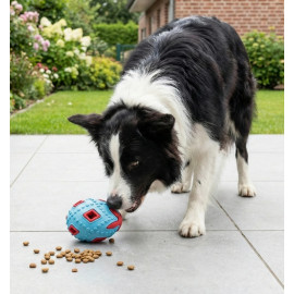 Zolux Zabawka na przysmaki do aportowania jajko 8cm