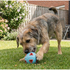 Zolux Zabawka na przysmaki do aportowania jajko 8cm