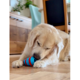 Zolux Zabawka na przysmaki gryzak stożek 10cm