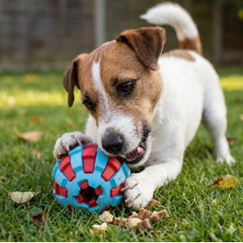 Zolux Zabawka na przysmaki do aportowania piłka 6cm