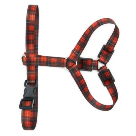 Matteo Szelki Guard 30mm szkocka krata