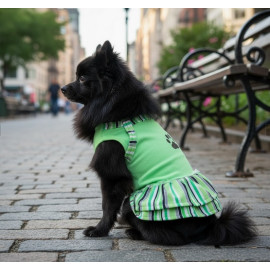 Grande Finale Sukienka Lucky Bamboo rozmiar 2 [G12]