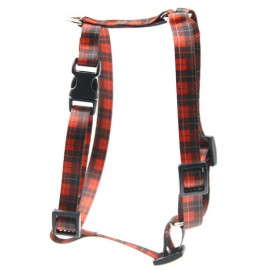 Matteo Szelki Guard 25mm szkocka krata