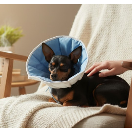 Grande Finale Kołnierz pozabiegowy z tkaniny rozmiar 2 niebieski [WET/KT/2(M)]