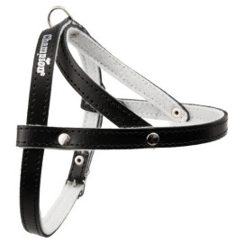 Champion Szelki 40 czarne [SD]