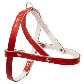 Champion Szelki 60 czerwone [SD(R)]