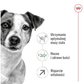 Royal Canin Mini Adult 8+ karma sucha dla psów starszych od 8 do 12 roku życia, ras małych 2kg