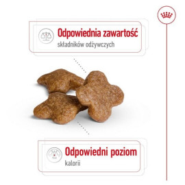 Royal Canin Mini Adult 8+ karma sucha dla psów starszych od 8 do 12 roku życia, ras małych 2kg