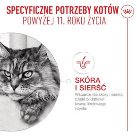 Royal Canin Ageing +11 karma mokra dla kotów dojrzałych w galaretce saszetka 85g