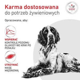 Royal Canin Veterinary Diet Canine Glycobalance Low Carbohydrate Loaf puszka 410g