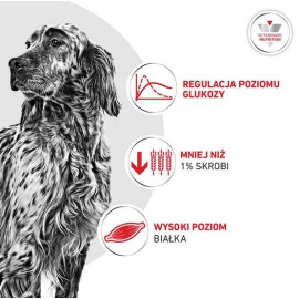 Royal Canin Veterinary Diet Canine Glycobalance Low Carbohydrate Loaf puszka 410g
