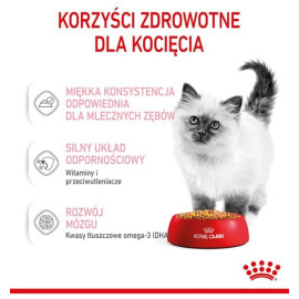 Royal Canin Kitten w galaretce karma mokra dla kociąt do 12 miesiąca życia saszetka 85g