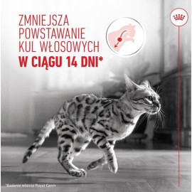 Royal Canin Hairball Care karma sucha dla kotów dorosłych, eliminacja kul włosowych 4kg