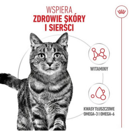 Royal Canin Hair&Skin Care karma sucha dla kotów dorosłych, lśniąca sierść i zdrowa skóra 4kg