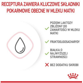 Royal Canin Babycat Milk pełnoporcjowy preparat mlekozastępczy dla kociąt do 2 miesiąca życia 300g
