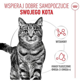 Royal Canin Hair & Skin Care w sosie  karma mokra dla kotów dorosłych, zdrowa skóra, piękna sierść saszetka 85g
