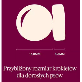 Carnilove Dog Active Venison & Reindeer Adult - dziczyzna i renifer 1,5kg