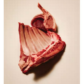 Carnilove Cat Active Lamb & Wild Boar Sterilised - jagnięcina i dzik 400g
