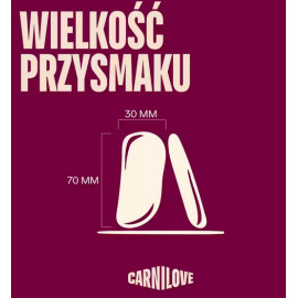 Carnilove Dog Jerky Lamb & Salmon - jagnięcina i łosoś 100g