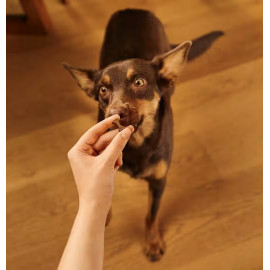 Carnilove Dog Soft Snack Duck 200g