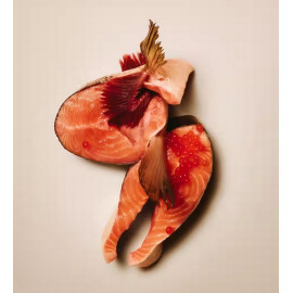 Carnilove Dog Soft Snack Salmon Small Bite 200g
