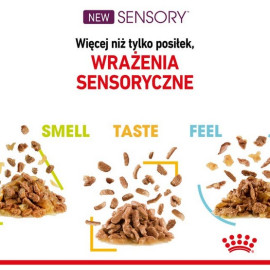 Royal Canin Sensory Feel w sosie karma mokra dla kotów dorosłych saszetka 85g