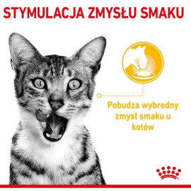 Royal Canin Sensory Taste w sosie karma mokra dla kotów dorosłych saszetka 85g