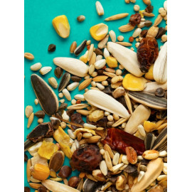 Rio Pokarm dla dużych papug 1kg