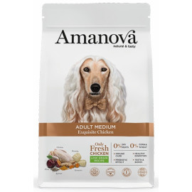 Amanova Dog Adult Medium Exquisite Chicken - kurczak 12kg [termin ważności: 20.09.2026]