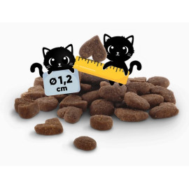 Lucky Lou Food Code Lifestage Adult Drób & Łosoś 1,7kg