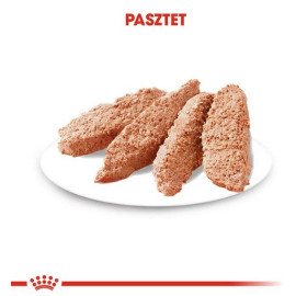 Royal Canin Dermacomfort Loaf  karma mokra – pasztet, dla psów dorosłych wszystkich ras saszetka 85g