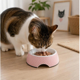 Zolux Miska Dotie dla kota 230ml różowa