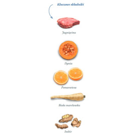 Amanova Dog Adult Sensitive Delicious Lamb - jagnięcina 10kg