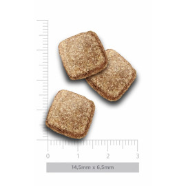 Amanova Dog Adult Obesity Turkey Delight - indyk 10kg