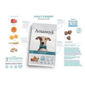 Amanova Dog Adult Exigent Iberian Pork - wieprzowina 10kg