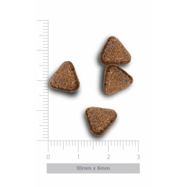 Amanova Dog Puppy Digestive Divine Rabbit - królik 7kg