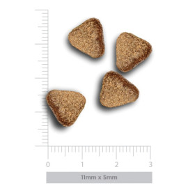 Amanova Dog Adult Mini Sensitive Salmon Deluxe - łosoś 7kg