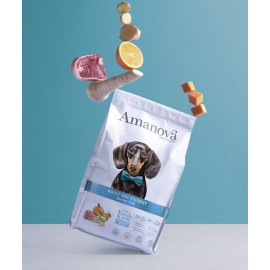 Amanova Dog Adult Mini Exigent Iberian Pork - wieprzowina 7kg