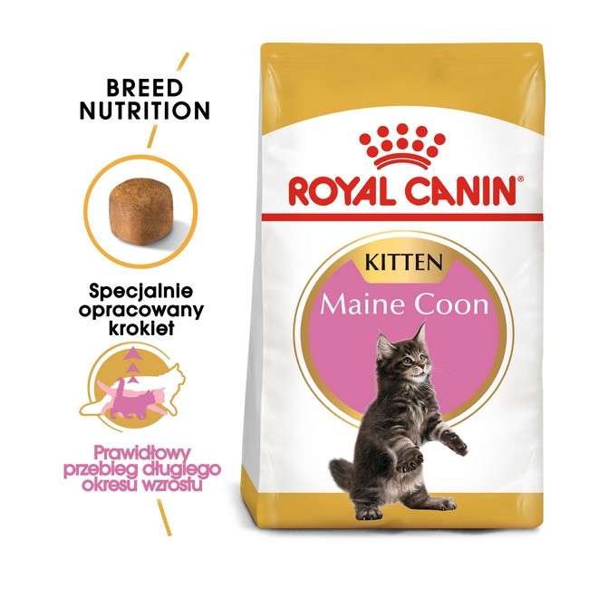 Royal Canin Maine Coon Kitten karma sucha dla kociąt, do 15 miesiąca, rasy maine coon 4kg