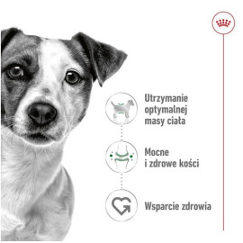 Royal Canin Mini Adult karma sucha dla psów dorosłych, ras małych 8kg