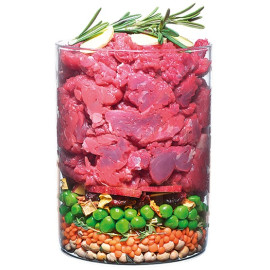 Carnilove Dog True Fresh Beef Adult - wołowina 4kg