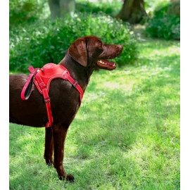 Zolux Szelki ze smyczą automatyczną Easyride M czerwone