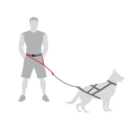 Dingo Pas do biegania Profi - 4 możliwości zapinania