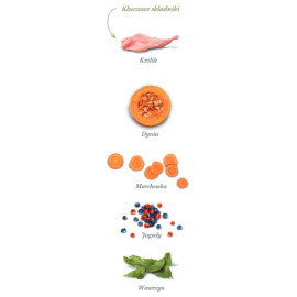 Amanova Dog Adult Digestive Divine Rabbit - królik 2kg