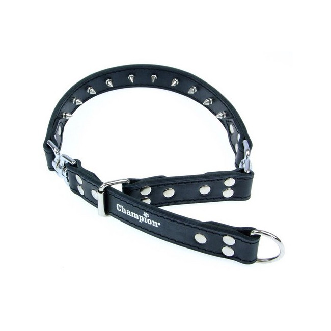 Champion Obroża Skórzana 60-75/3,0 [SOZ 5]