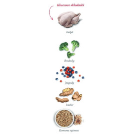 Amanova Dog Adult Obesity Turkey Delight - indyk 2kg